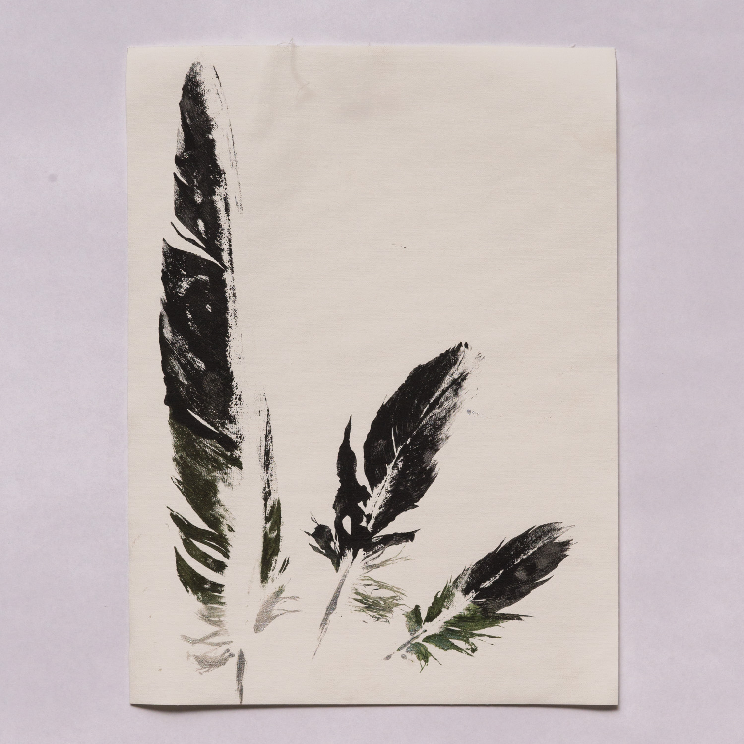 Vulture Feather Print – New Mexico BioPark Society